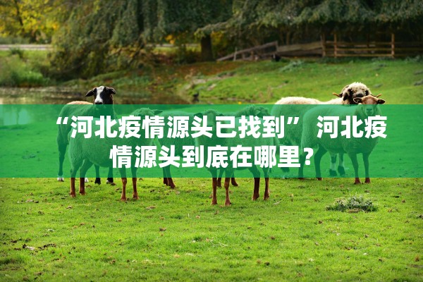 北京丰台新增10名感染者︰(北京丰台区新增两例新冠肺炎确诊病例)