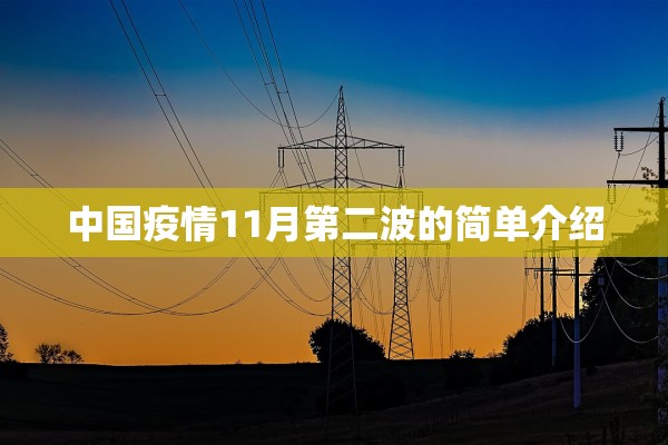 中国疫情11月第二波的简单介绍