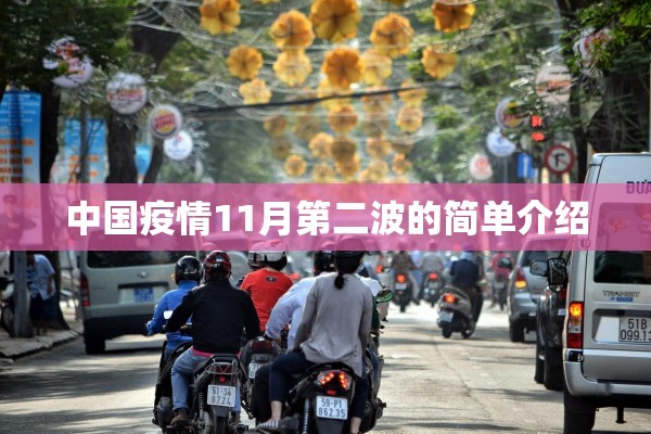 中国疫情11月第二波的简单介绍