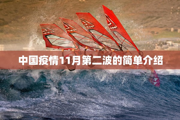 中国疫情11月第二波的简单介绍