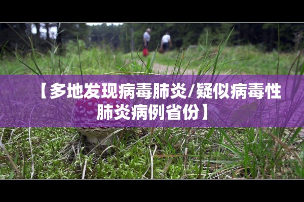 【多地发现病毒肺炎/疑似病毒性肺炎病例省份】 【多地发现病毒肺炎/疑似病毒性肺炎病例省份】