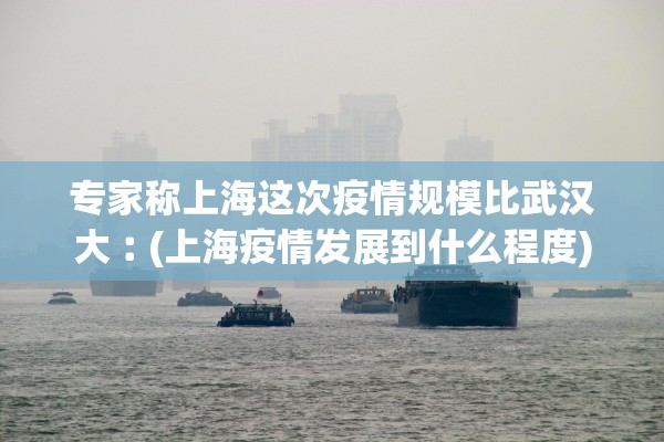 专家称上海这次疫情规模比武汉大︰(上海疫情发展到什么程度)