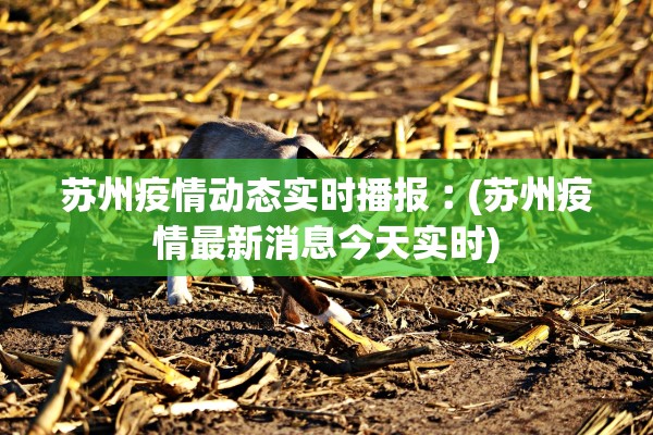 南京疫情源头公布,南京疫情源头已查明