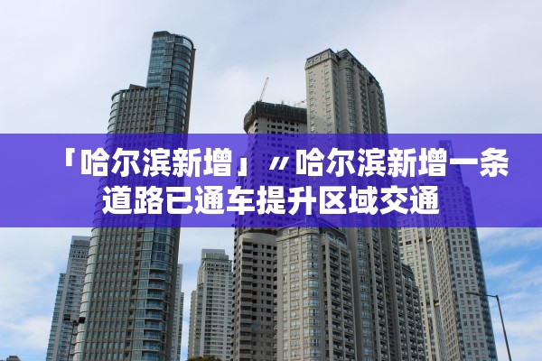 「哈尔滨新增」〃哈尔滨新增一条道路已通车提升区域交通 「哈尔滨新增」〃哈尔滨新增一条道路已通车提升区域交通