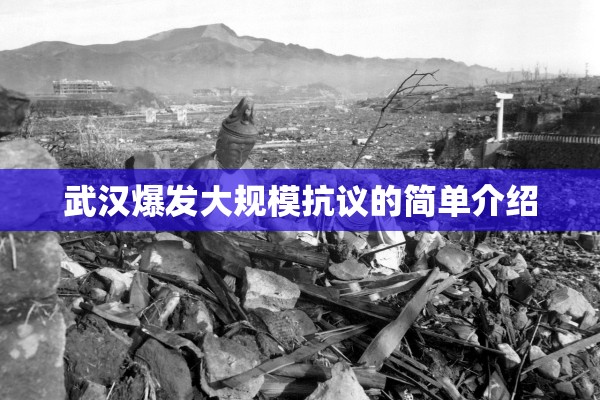 武汉爆发大规模抗议的简单介绍