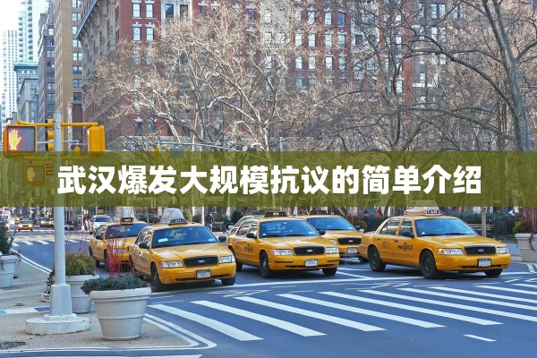 武汉爆发大规模抗议的简单介绍