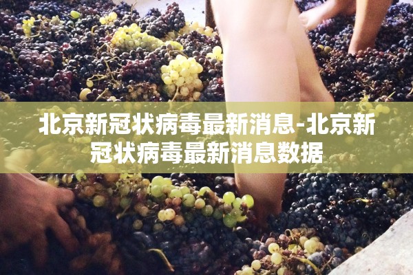 北京新冠状病毒最新消息-北京新冠状病毒最新消息数据