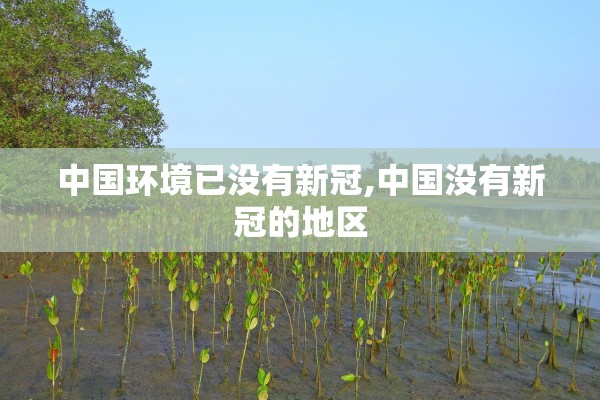 中国环境已没有新冠,中国没有新冠的地区