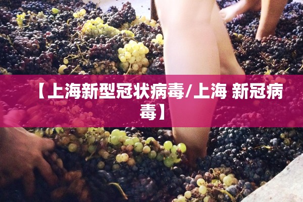 【上海新型冠状病毒/上海 新冠病毒】 【上海新型冠状病毒/上海 新冠病毒】