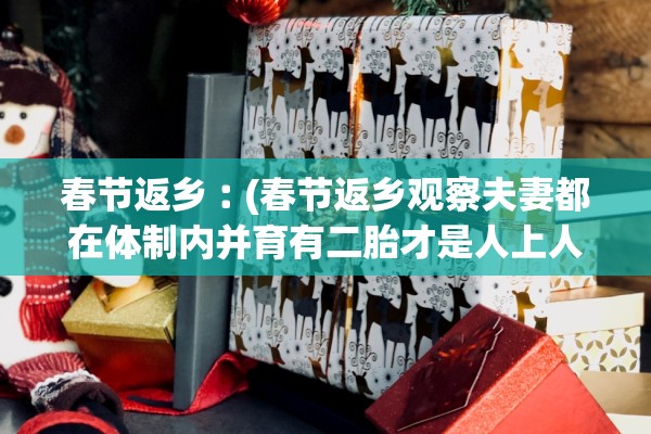 春节返乡︰(春节返乡观察夫妻都在体制内并育有二胎才是人上人) 春节返乡︰(春节返乡观察夫妻都在体制内并育有二胎才是人上人)