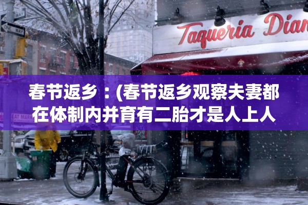 春节返乡︰(春节返乡观察夫妻都在体制内并育有二胎才是人上人) 春节返乡︰(春节返乡观察夫妻都在体制内并育有二胎才是人上人)