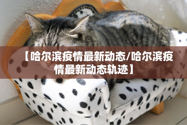 【哈尔滨疫情最新动态/哈尔滨疫情最新动态轨迹】 【哈尔滨疫情最新动态/哈尔滨疫情最新动态轨迹】