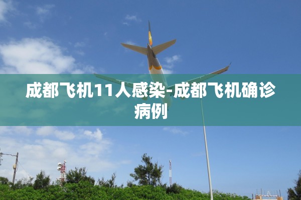 成都飞机11人感染-成都飞机确诊病例