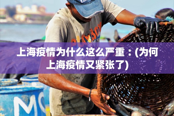 上海疫情为什么这么严重︰(为何上海疫情又紧张了)