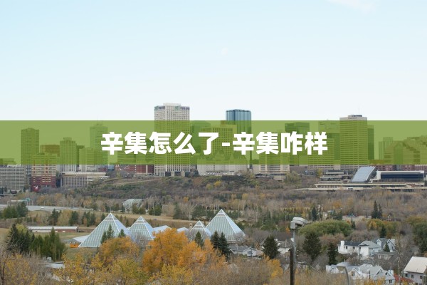 辛集怎么了-辛集咋样