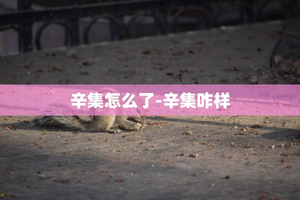 辛集怎么了-辛集咋样