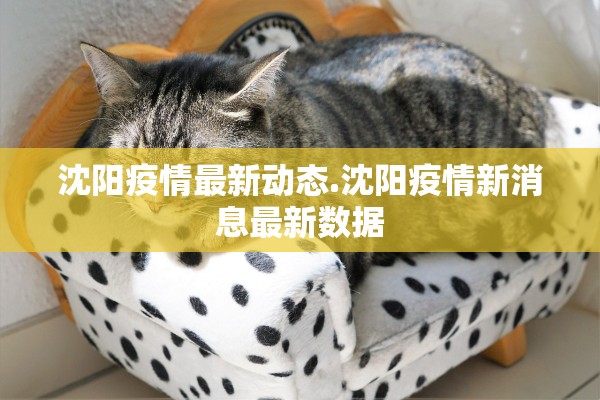 沈阳疫情最新动态.沈阳疫情新消息最新数据 沈阳疫情最新动态.沈阳疫情新消息最新数据