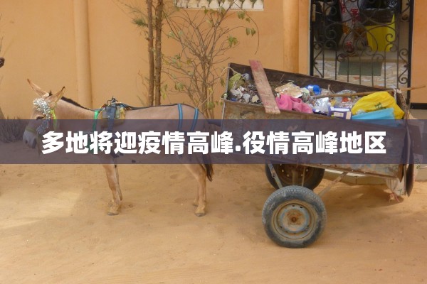 多地将迎疫情高峰.役情高峰地区 多地将迎疫情高峰.役情高峰地区