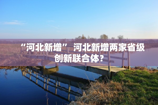 “河北新增	” 河北新增两家省级创新联合体？