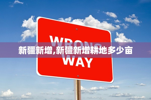 新疆新增,新疆新增耕地多少亩