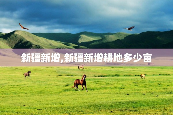 新疆新增,新疆新增耕地多少亩