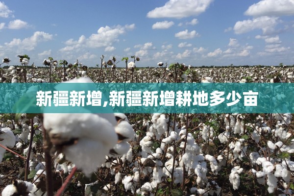 新疆新增,新疆新增耕地多少亩