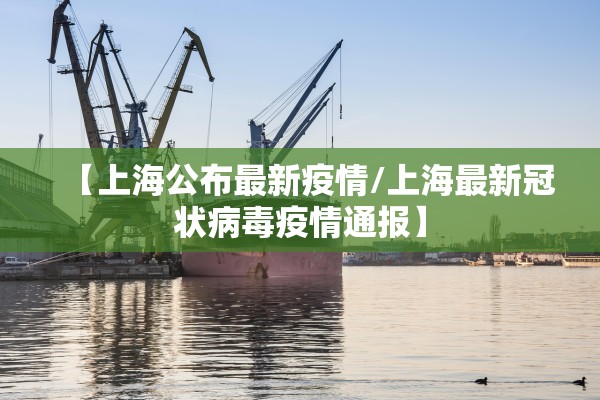 【上海公布最新疫情/上海最新冠状病毒疫情通报】