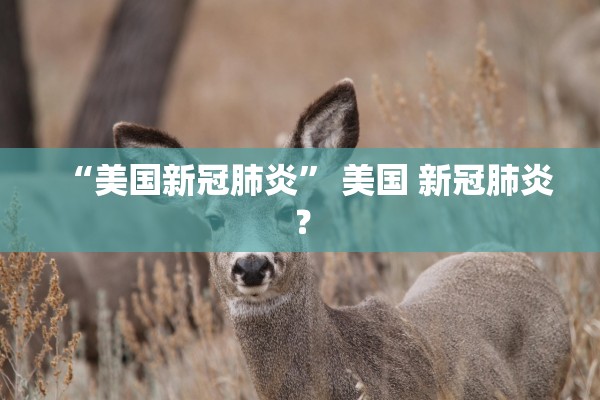 “美国新冠肺炎” 美国 新冠肺炎？