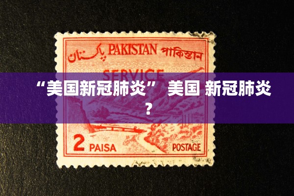 “美国新冠肺炎” 美国 新冠肺炎？