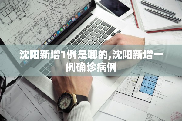 沈阳新增1例是哪的,沈阳新增一例确诊病例 沈阳新增1例是哪的,沈阳新增一例确诊病例