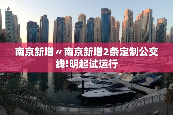 南京新增〃南京新增2条定制公交线!明起试运行