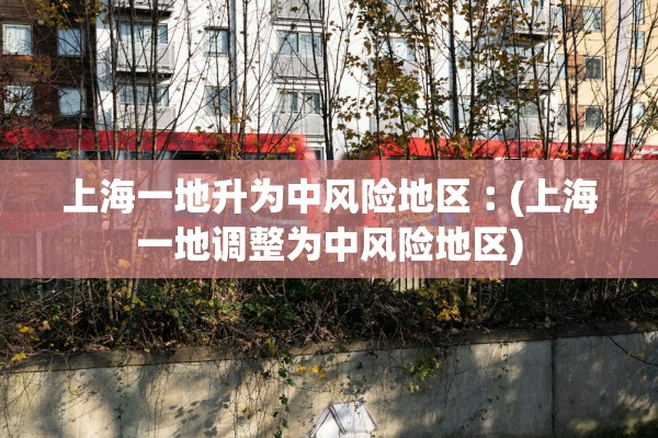 上海一地升为中风险地区︰(上海一地调整为中风险地区) 上海一地升为中风险地区︰(上海一地调整为中风险地区)
