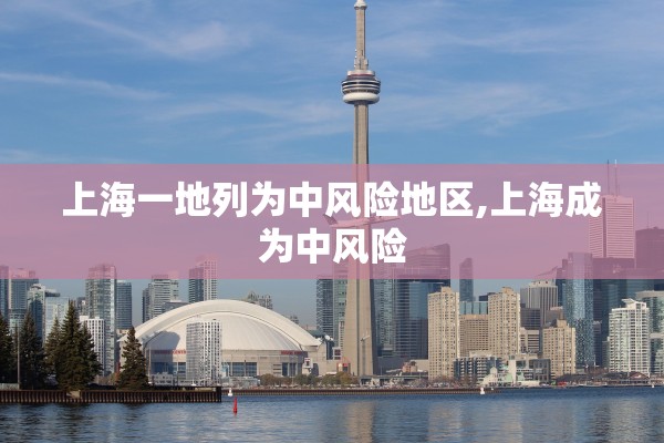 上海一地列为中风险地区,上海成为中风险