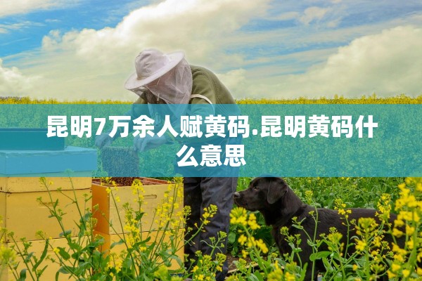 昆明7万余人赋黄码.昆明黄码什么意思