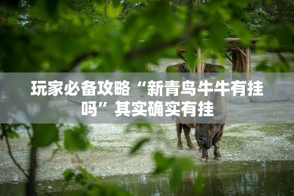 玩家必备攻略“新青鸟牛牛有挂吗”其实确实有挂