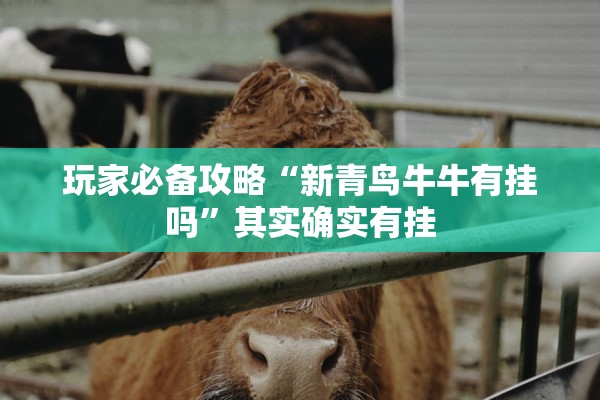 玩家必备攻略“新青鸟牛牛有挂吗”其实确实有挂