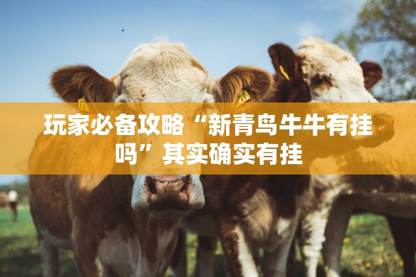 玩家必备攻略“新青鸟牛牛有挂吗”其实确实有挂