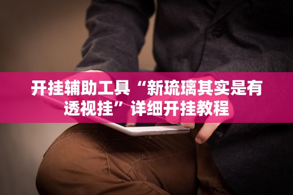 开挂辅助工具“新琉璃其实是有透视挂”详细开挂教程