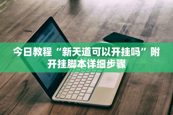 今日教程“新天道可以开挂吗”附开挂脚本详细步骤