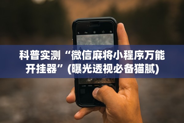 科普实测“微信麻将小程序万能开挂器”(曝光透视必备猫腻)