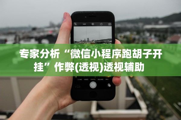 专家分析“微信小程序跑胡子开挂”作弊(透视)透视辅助 
