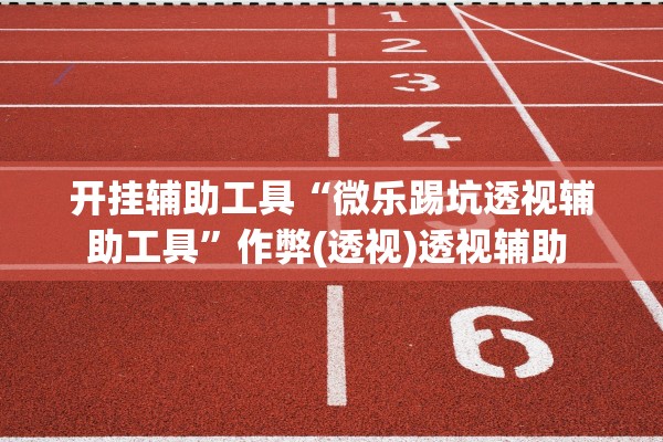 开挂辅助工具“微乐踢坑透视辅助工具”作弊(透视)透视辅助 