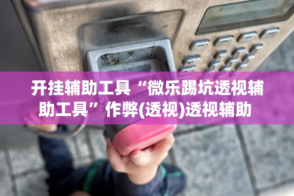 开挂辅助工具“微乐踢坑透视辅助工具	”作弊(透视)透视辅助 