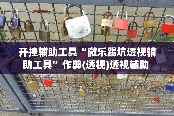 开挂辅助工具“微乐踢坑透视辅助工具”作弊(透视)透视辅助 