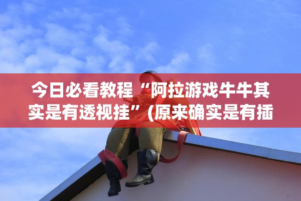 今日必看教程“阿拉游戏牛牛其实是有透视挂”(原来确实是有插件) 