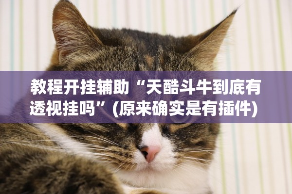 教程开挂辅助“天酷斗牛到底有透视挂吗	”(原来确实是有插件) 