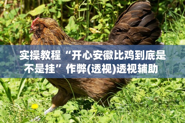 实操教程“开心安徽比鸡到底是不是挂”作弊(透视)透视辅助 