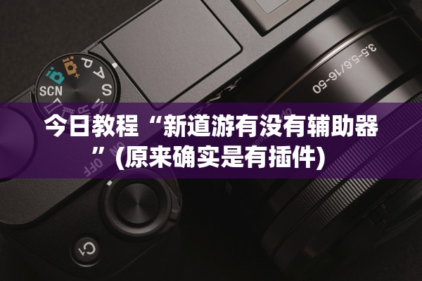 今日教程“新道游有没有辅助器”(原来确实是有插件) 