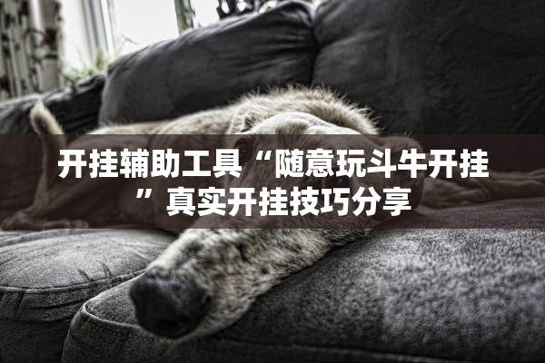 开挂辅助工具“随意玩斗牛开挂”真实开挂技巧分享