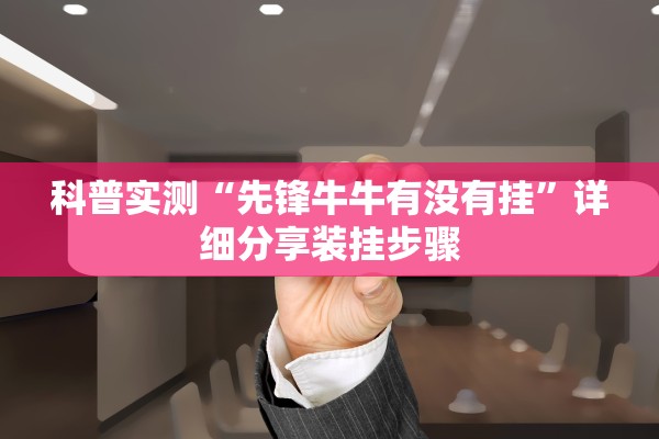 科普实测“先锋牛牛有没有挂”详细分享装挂步骤
